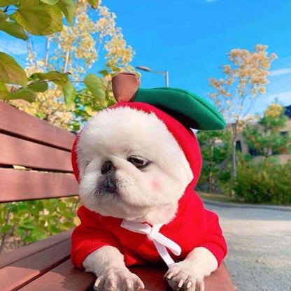 A collection of fruit-themed dog hoodies, each designed to look like a different fruit with a cute character face. A dog is shown wearing one of the hoodies, which is green with a frog design.
