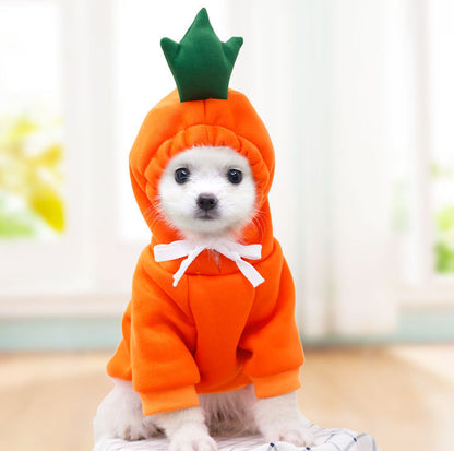 A collection of fruit-themed dog hoodies, each designed to look like a different fruit with a cute character face. A dog is shown wearing one of the hoodies, which is green with a frog design.