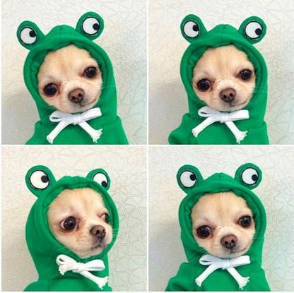 A collection of fruit-themed dog hoodies, each designed to look like a different fruit with a cute character face. A dog is shown wearing one of the hoodies, which is green with a frog design.