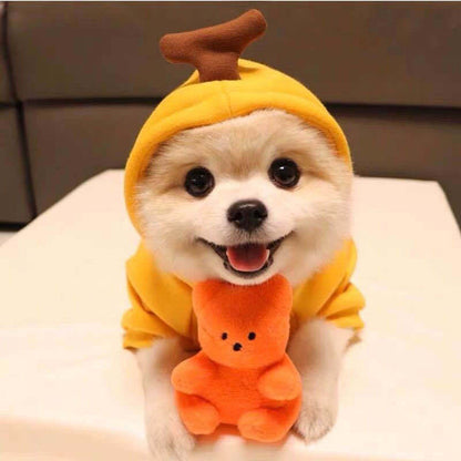 A collection of fruit-themed dog hoodies, each designed to look like a different fruit with a cute character face. A dog is shown wearing one of the hoodies, which is green with a frog design.