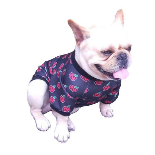 Custom Spring and Autumn Teddy Dog Clothing Casual Pet Outfit