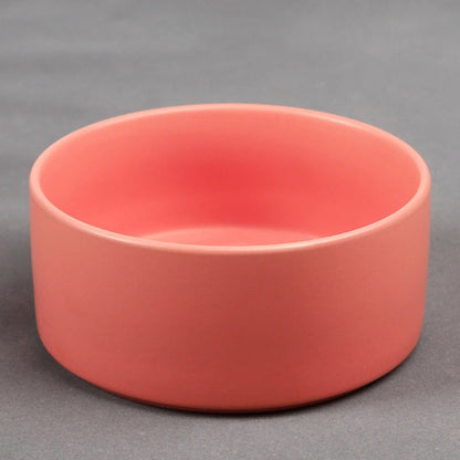 Cat and dog food bowl dog bowl