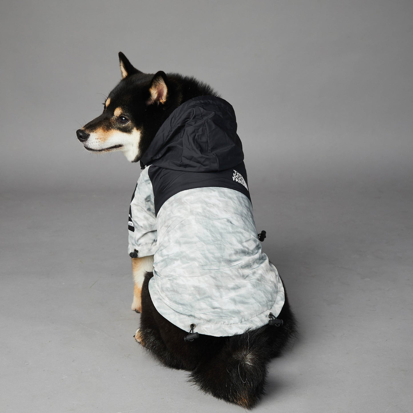 Stylish Dog Shell Jacket