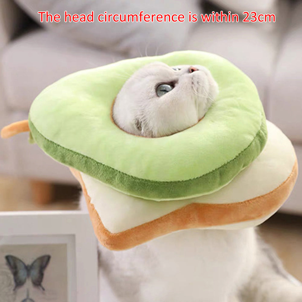 Cat pet headgear anti-licking shame circle