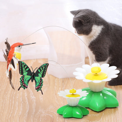 Smart auto-rotating funny cat