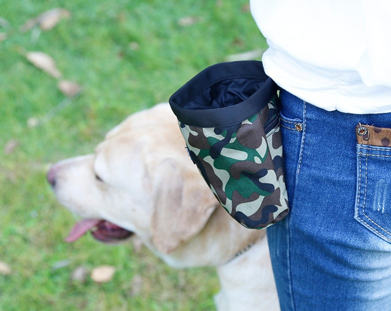 Multi-function camouflage pet package