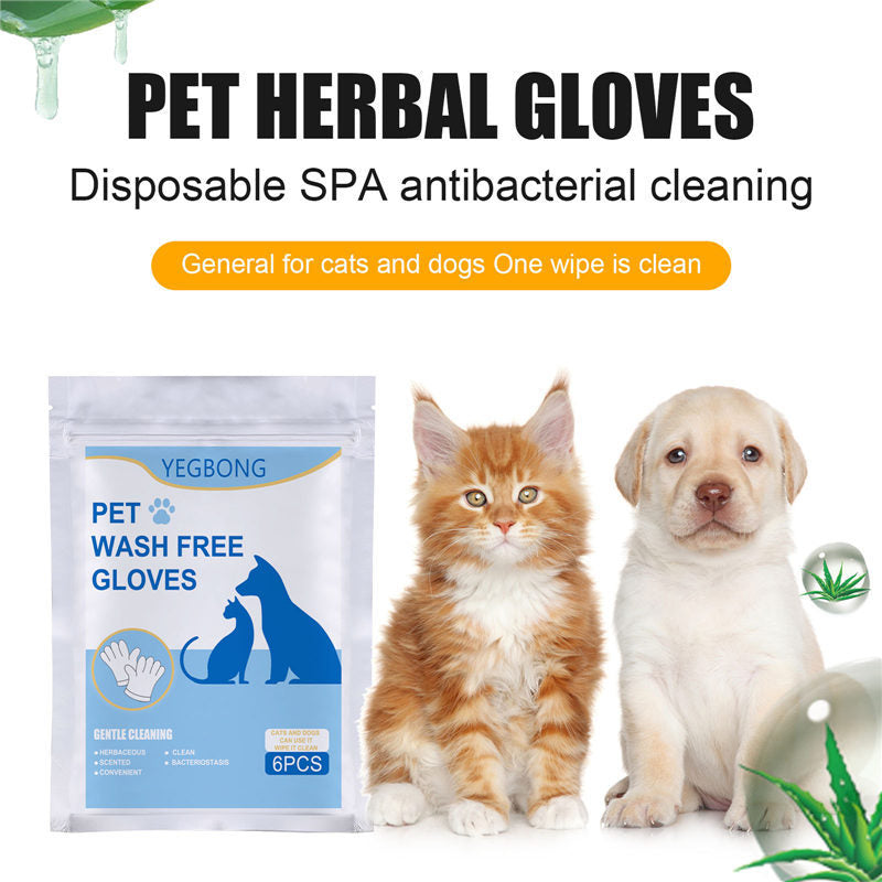 Disposable Pet Gloves