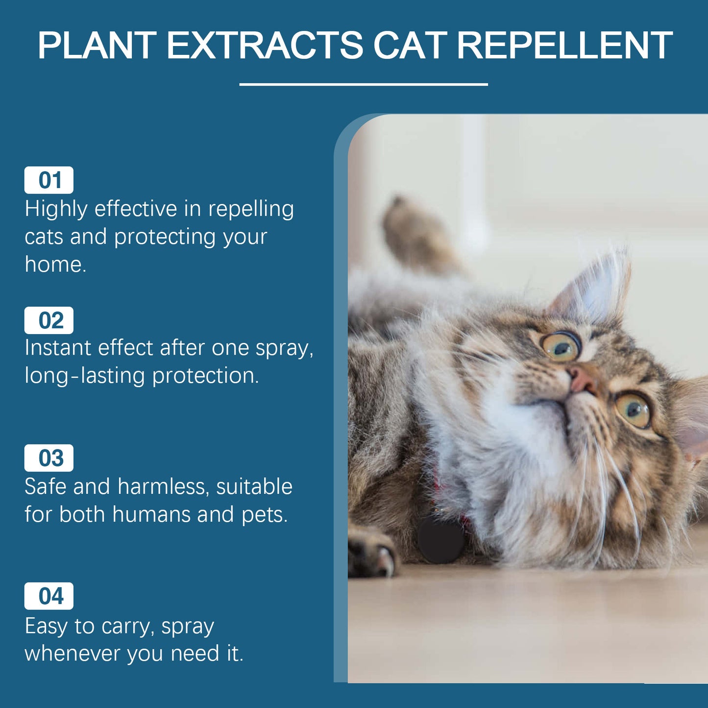 Pet Insect Repellent Prevent Cats From Going To Bed Spray