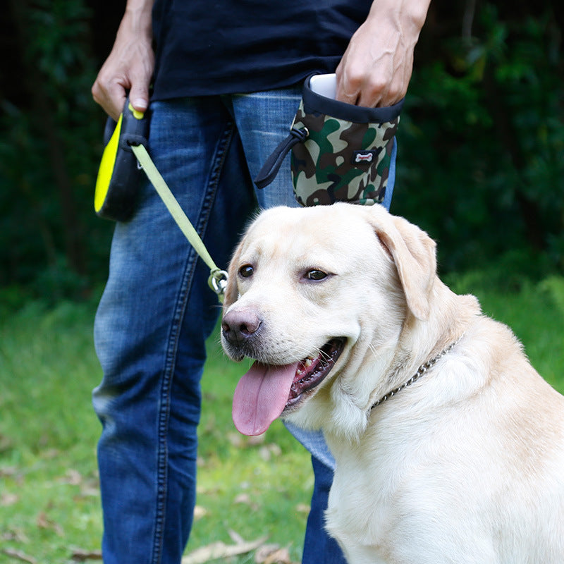 Multifunctional dog walking pocket