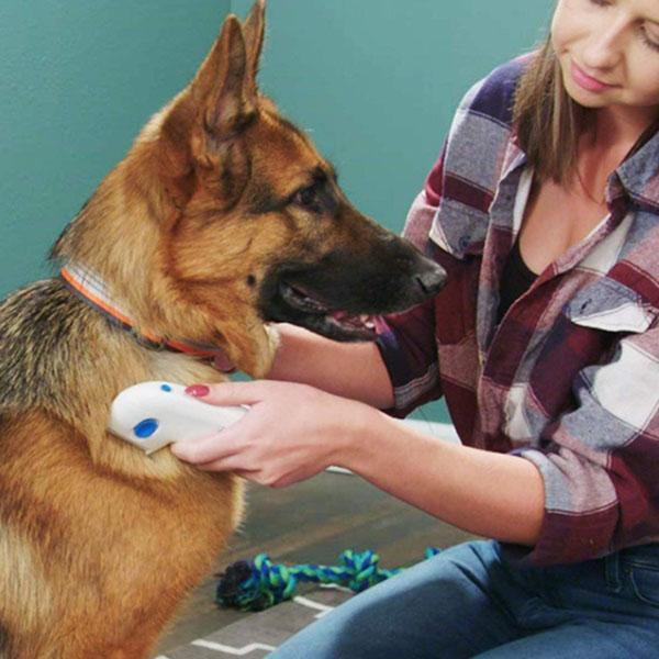 Electric Lice Remover for Pets