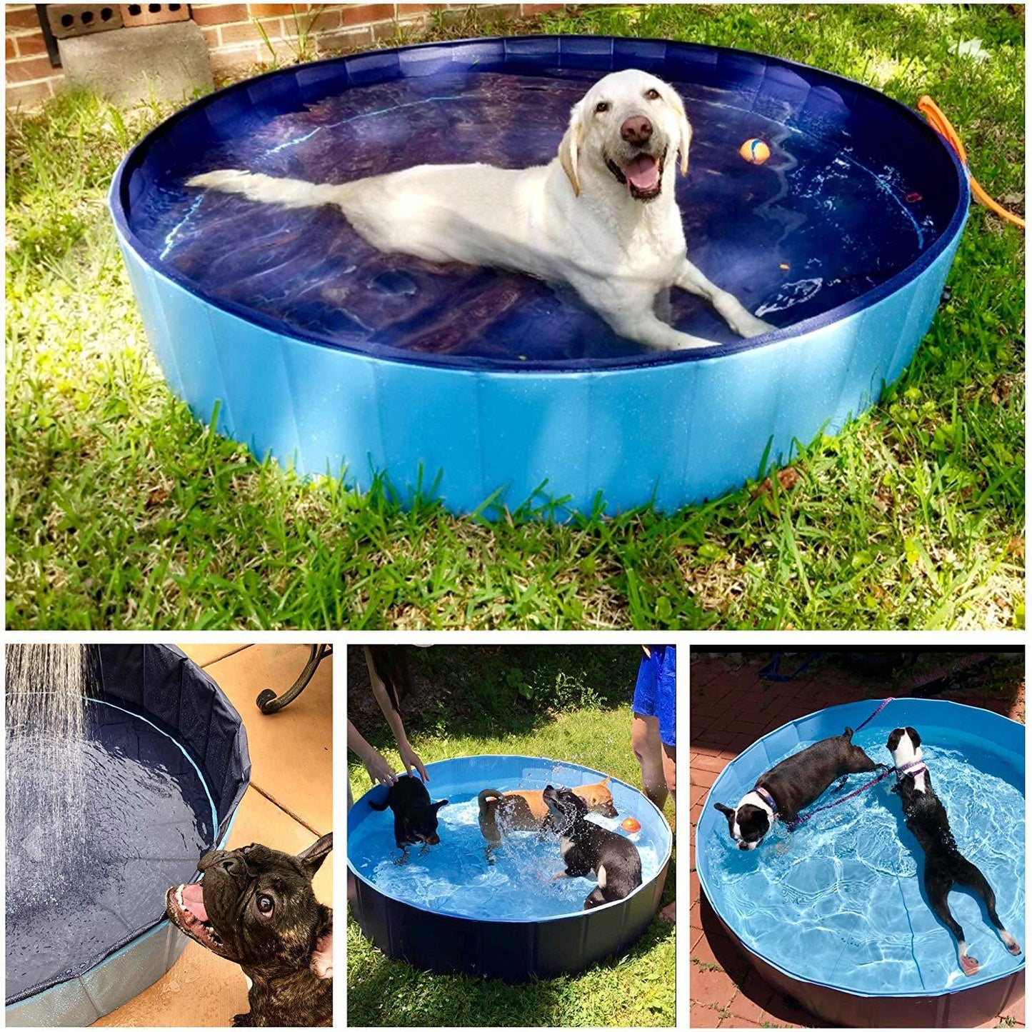 Foldable Dog Pool Portable Bath And Play Tub