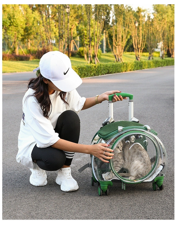 Small Pet Trolley Bag Portable Dog Diaper Bag Transparent Shoulders Cat Bag Space Capsule