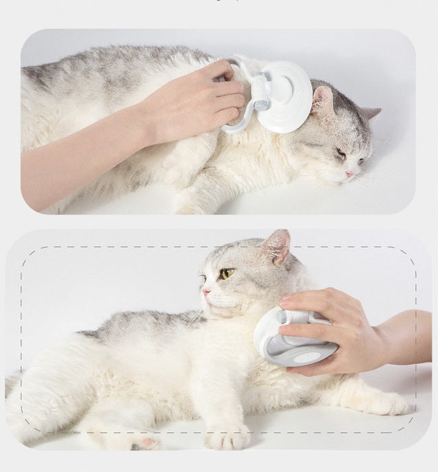 Self Cleaning Wire Brush for Pets