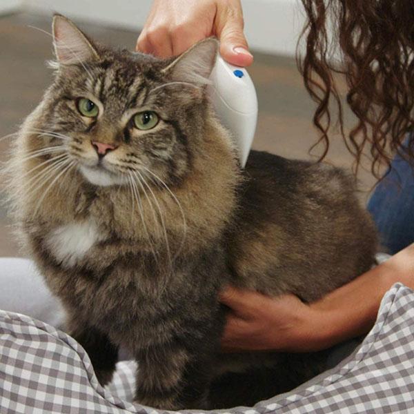 Electric Lice Remover for Pets