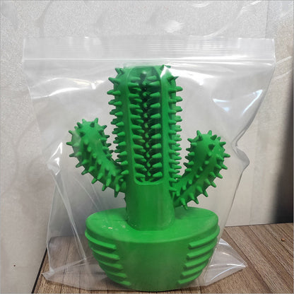 Pet molar stick