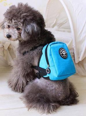 Small dog pet cat self backpack