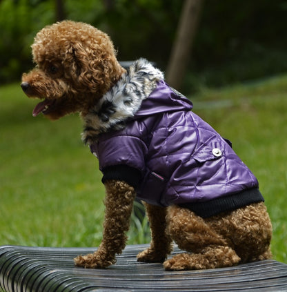 Winter Fur Collar Dog Coat for Cold Weather