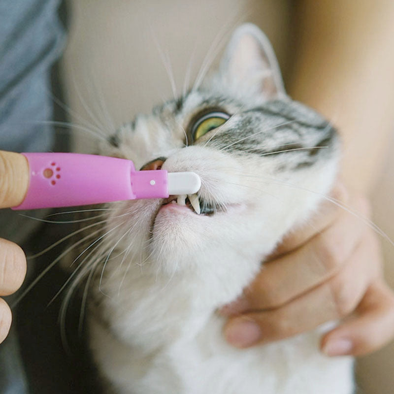 Pet Finger Toothbrush Soft And Effective Cleaning