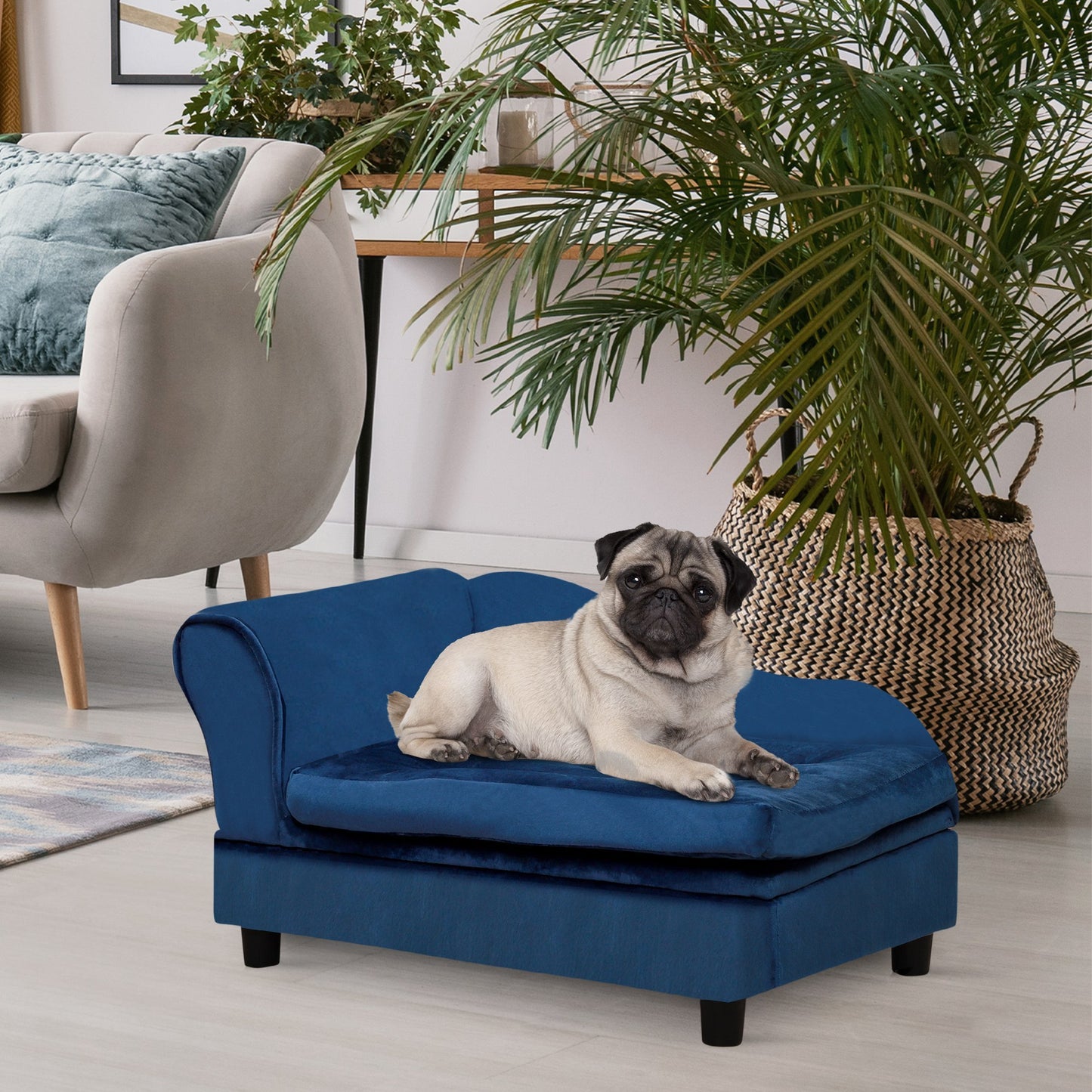 Luxury Small Dog Bed with Hidden Storage