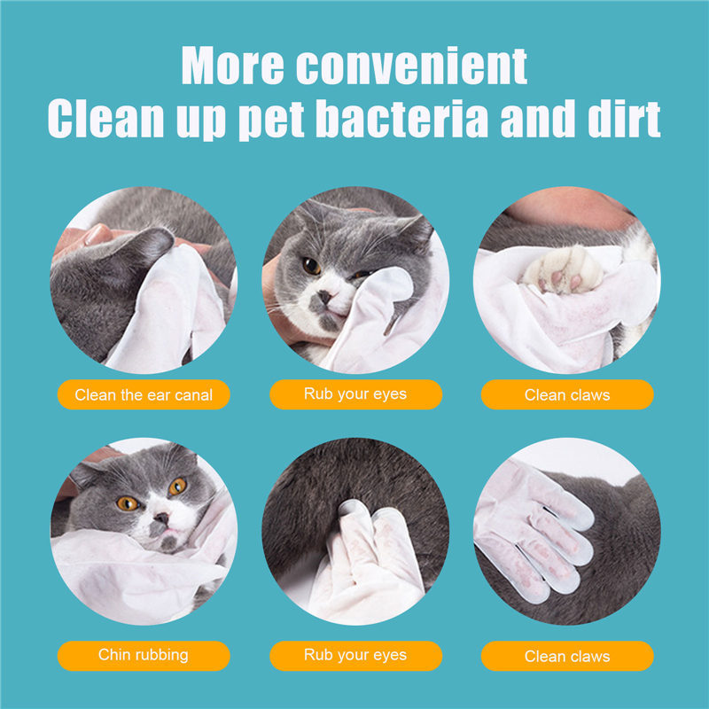 Disposable Pet Gloves