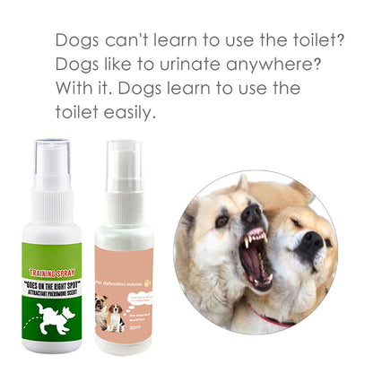 Dog Potty Training Spray Quick Effective Training