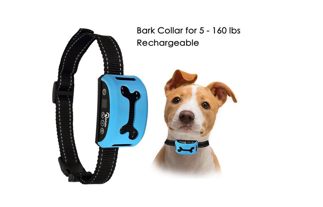 Smart induction vibration rechargeable collar