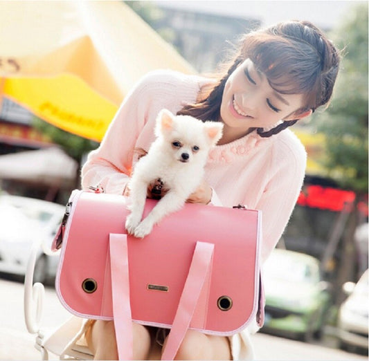 Portable one-shoulder pet backpack