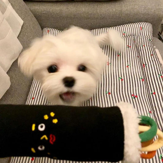 Voice Sushi Roll Pet Toy