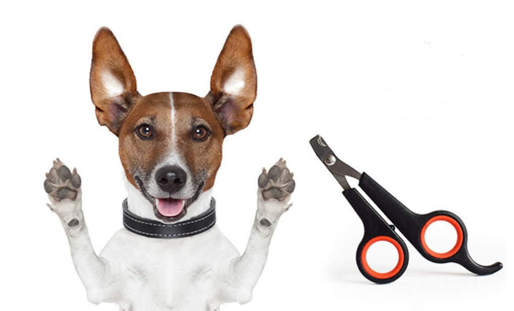 Sharp Dog Nail Clippers