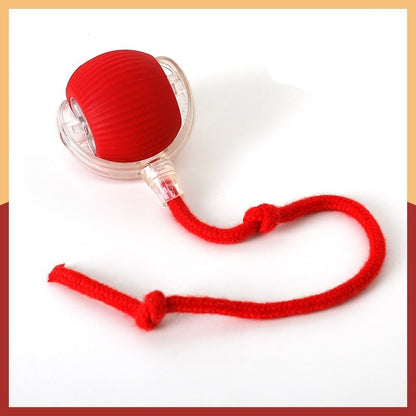 Interactive cat toy ball with a red plush tail and a cat playing with it. The toy has a rope and emits blue and purple lights indicating different modes of play.