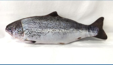 Electric cat simulation jump fish usb charging jump fish cat toy