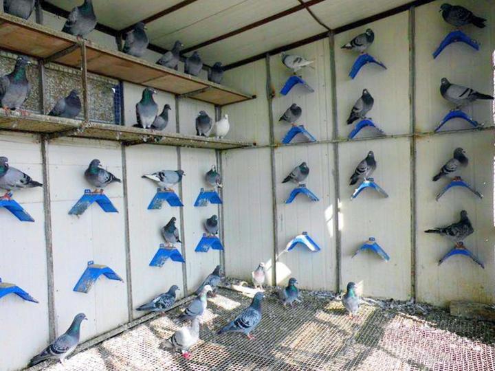 eon Supplies Bird Equipment