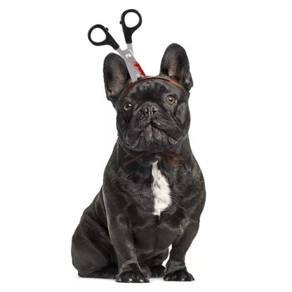Halloween Cat and Dog Headgear Costume