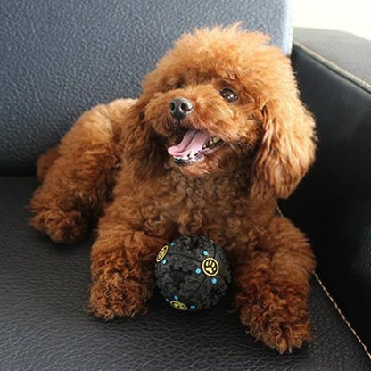 Paw Prime's Tricky Treat Ball