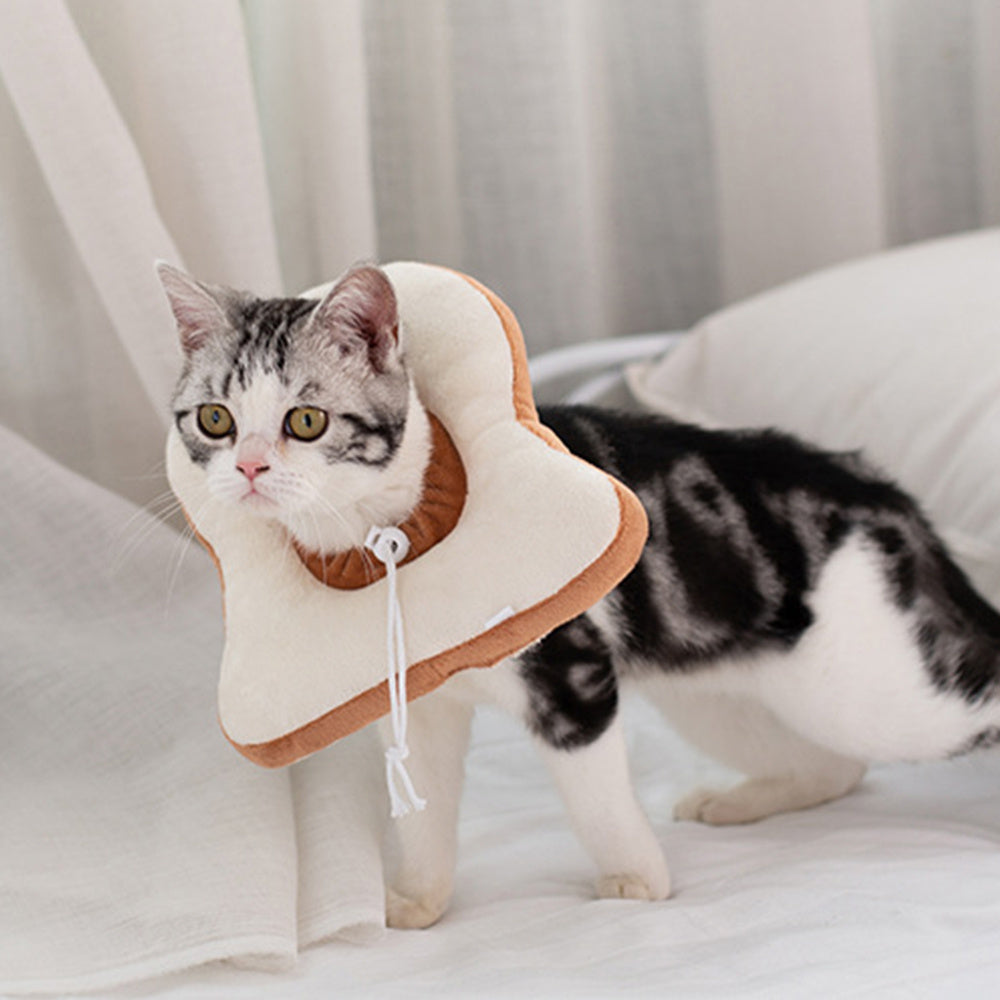 Cat pet headgear anti-licking shame circle