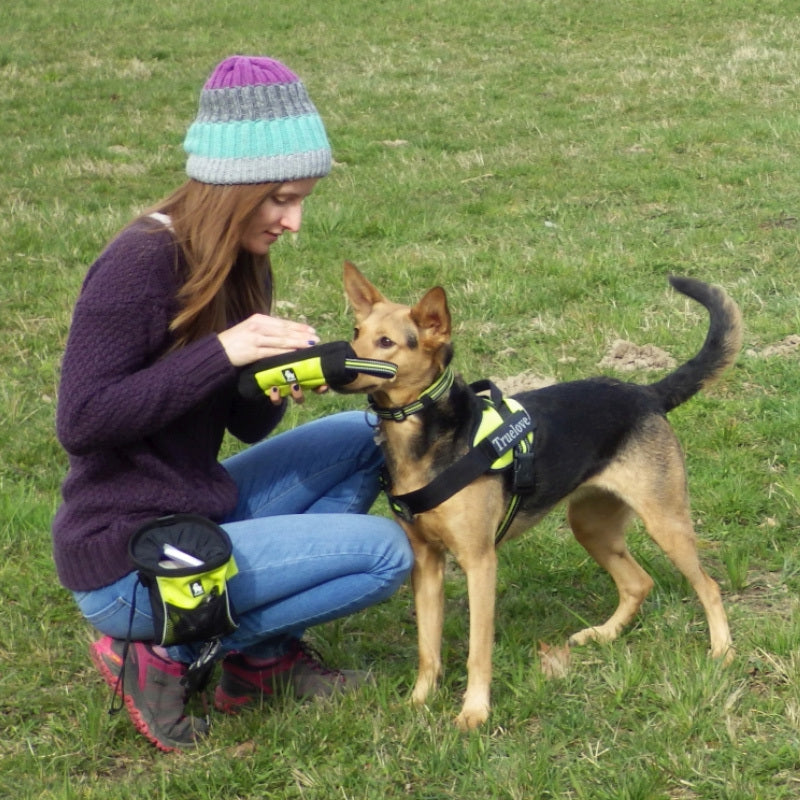 Large-capacity dog training belt bag