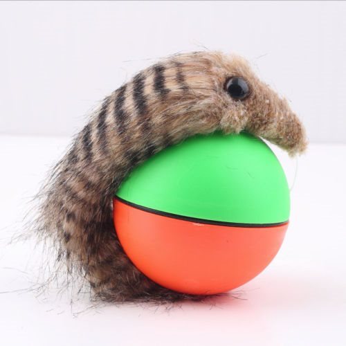 Pet automatic cat ball