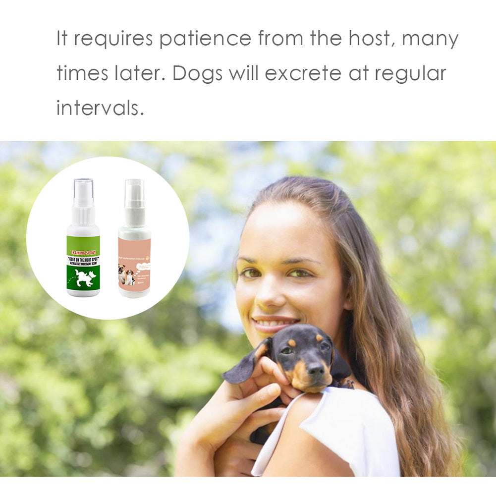 Dog Potty Training Spray Quick Effective Training