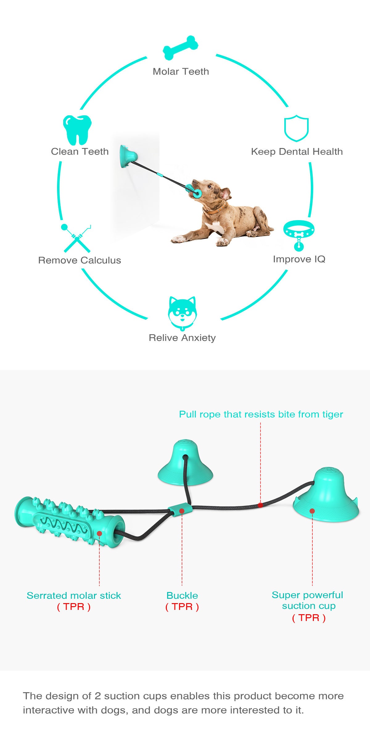 Double suction cup pull dog toy molar