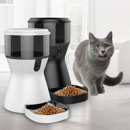 Quantitative automatic feeding device
