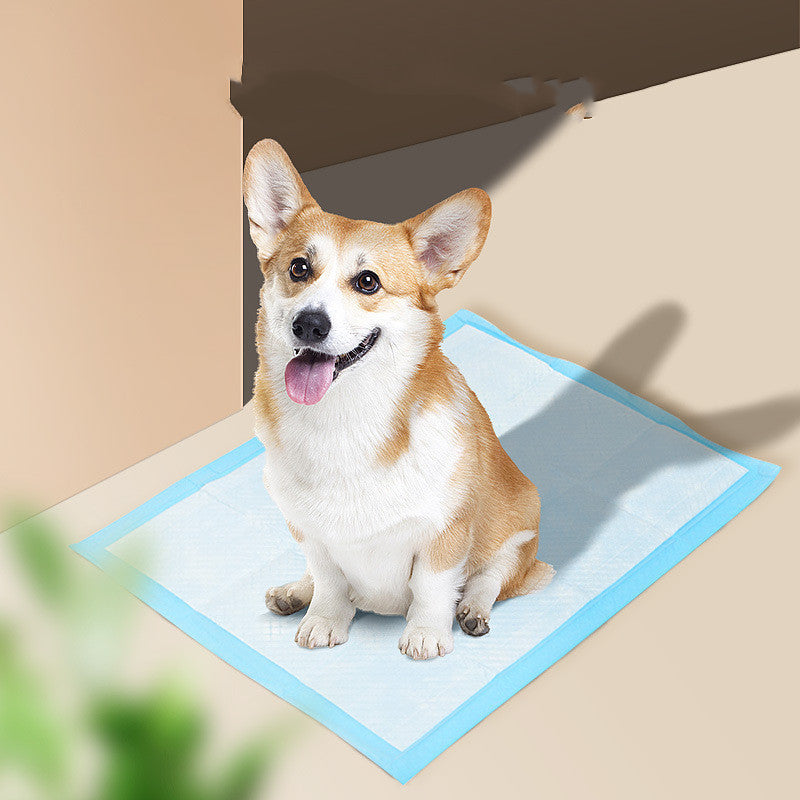 Pet Hygiene Absorbent Dog Pad