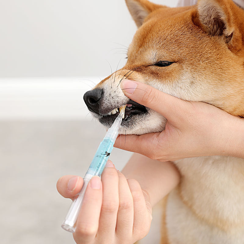 Pet Teeth Cleaning An Repair Kit 2 Pen Set