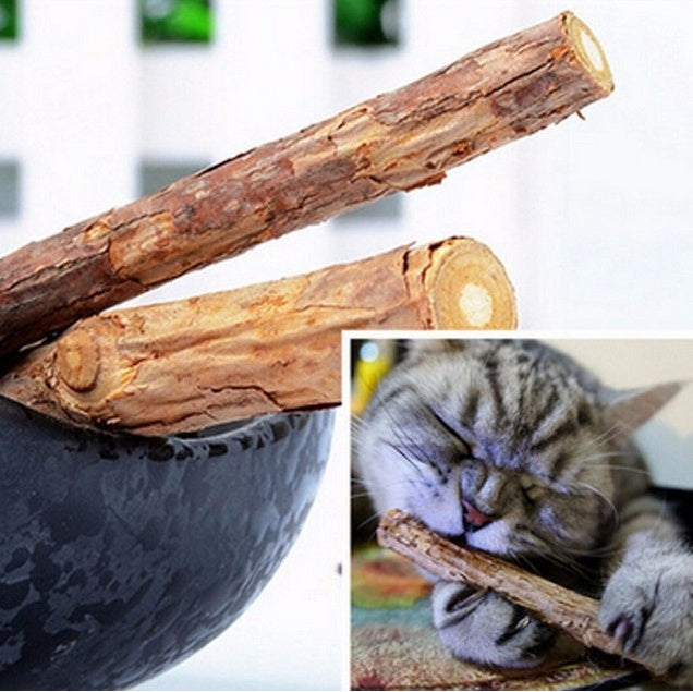 2 Pcs MatatabiStick Catnip Chew Sticks Pet Kitten Cleaning Teeth Healthy Care