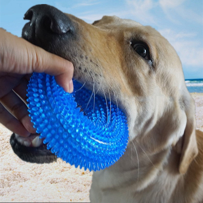 A dog holding a blue ball-shaped toy in its mouth, which has a textured surface.