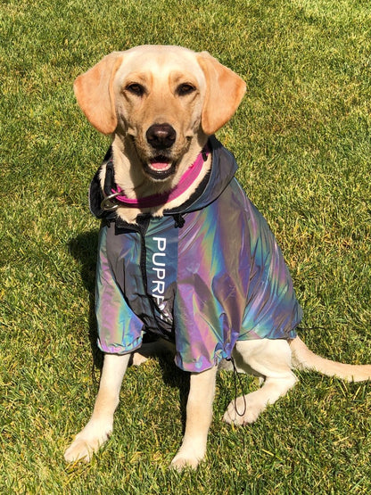 Reflective Waterproof Dog Jacket for Night Walks