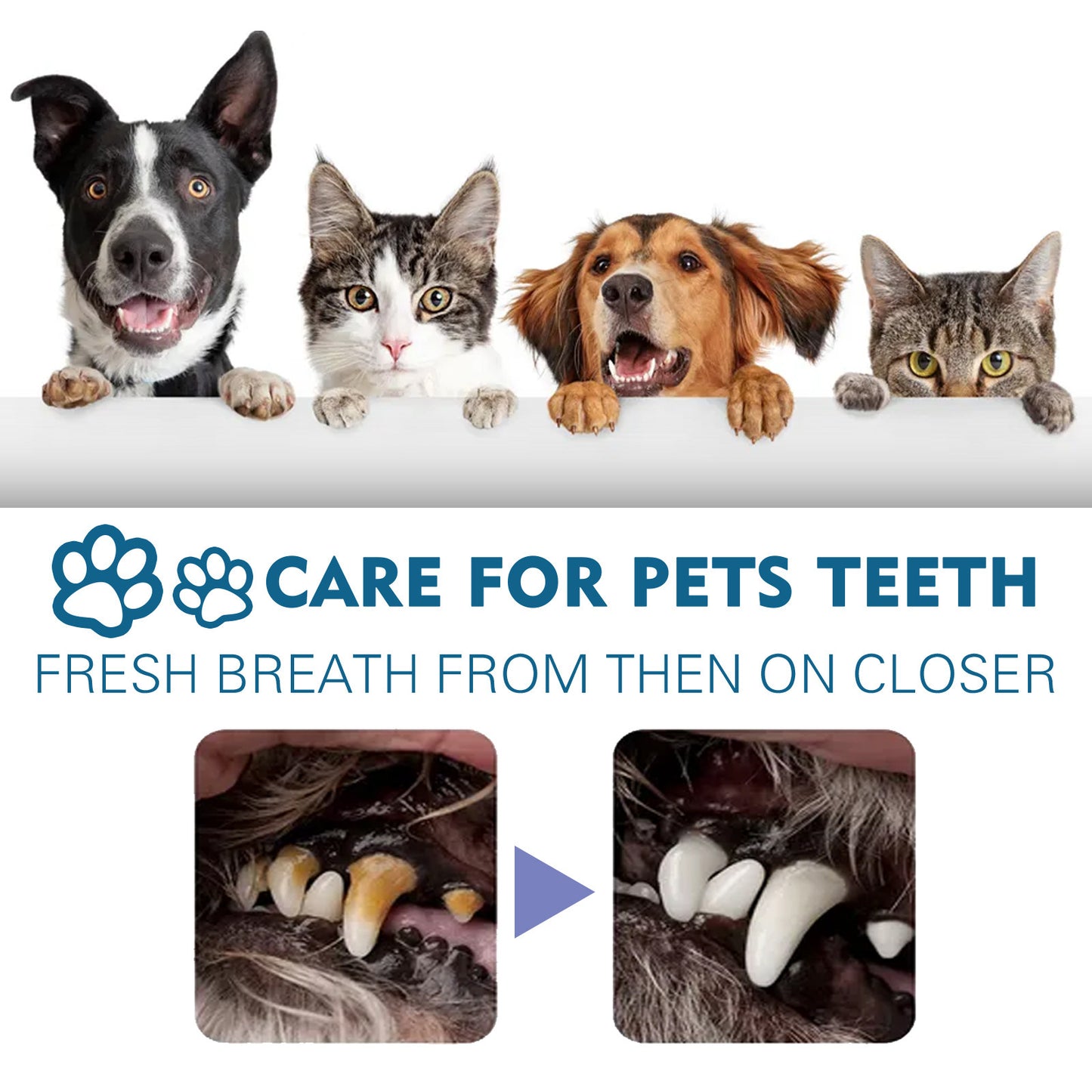 Pet Breath Freshening and Tartar Removal Spray