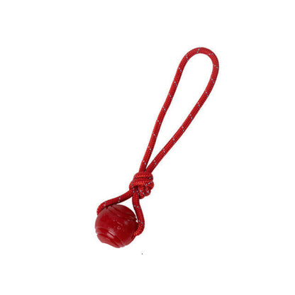 A dog in water with a red solid ball in its mouth.