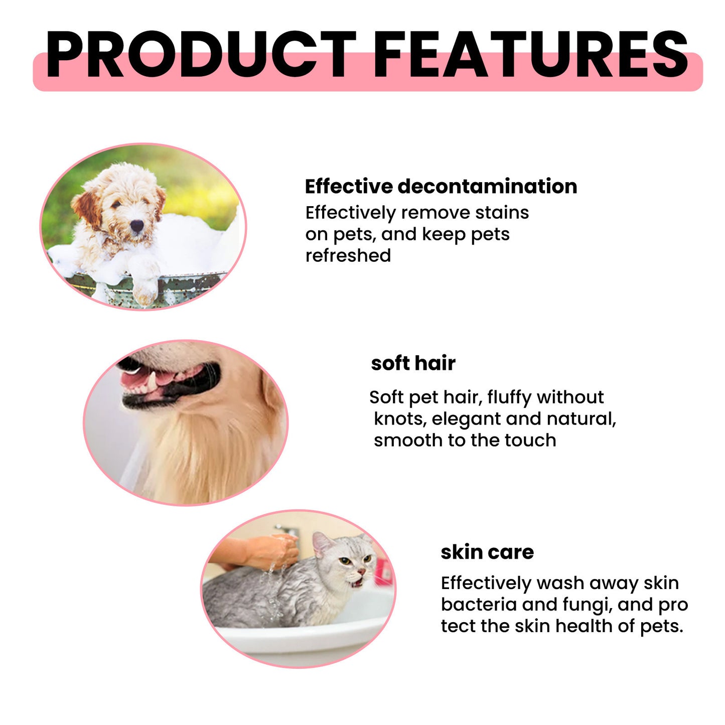 5 in 1 Professional Pet Grooming Kit