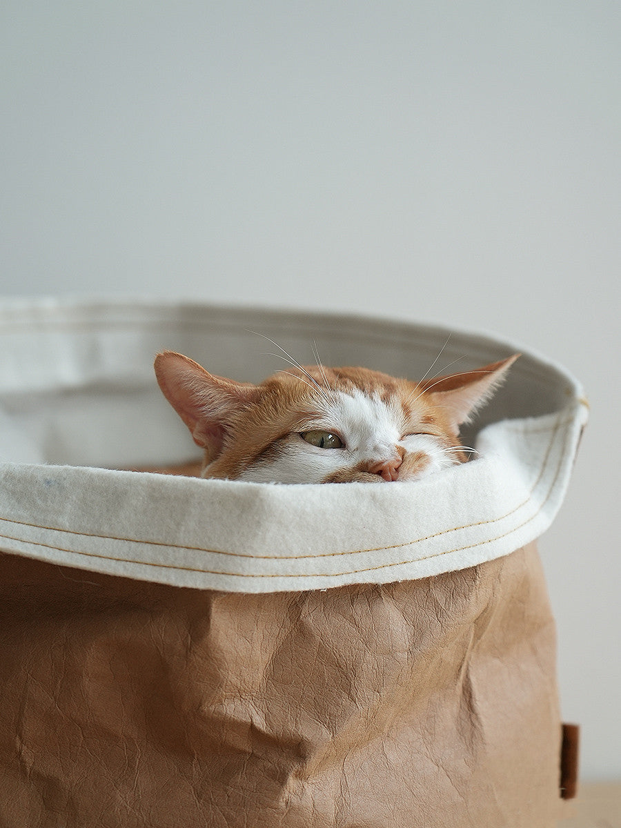 Washed Kraft Paper Bag Pet Nest