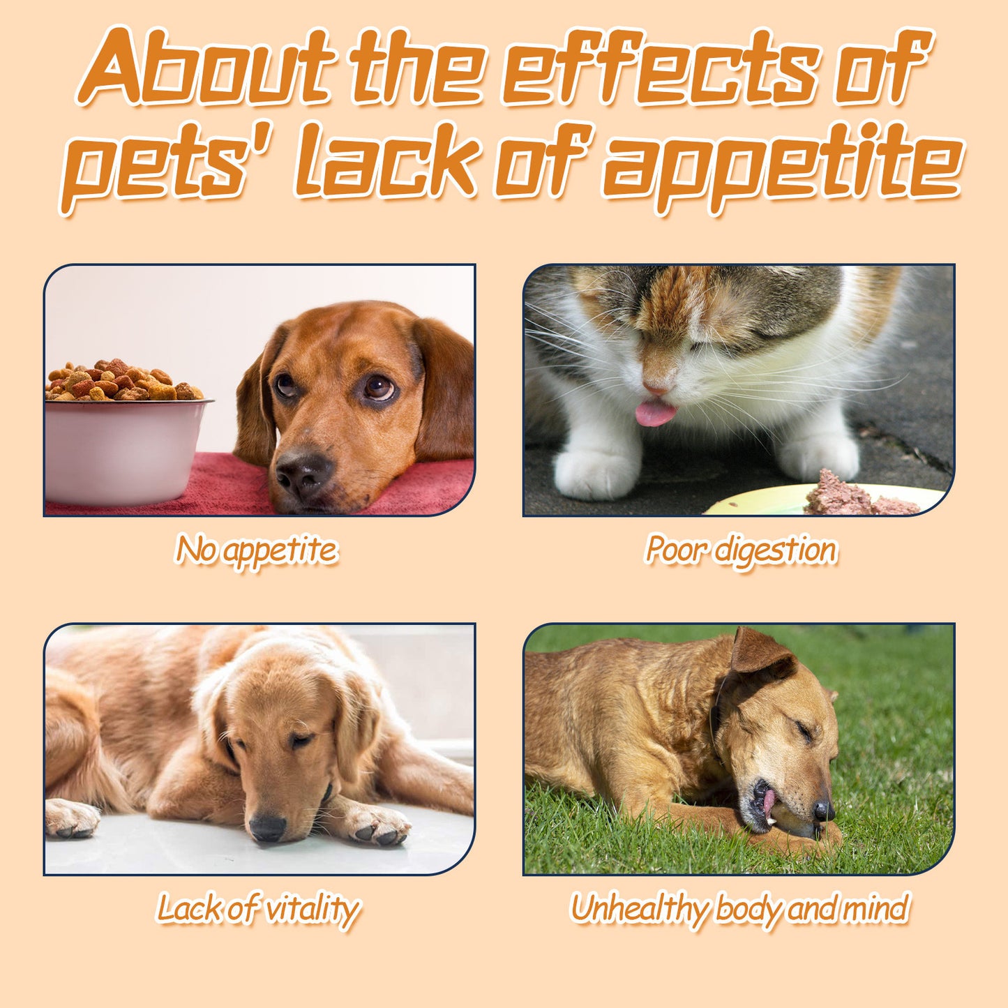 Pet Care Drops, Enhance The Vitality Of Pets And Supplement Nutrition, Effectively Enhance The Vitality Of Pets Themselves